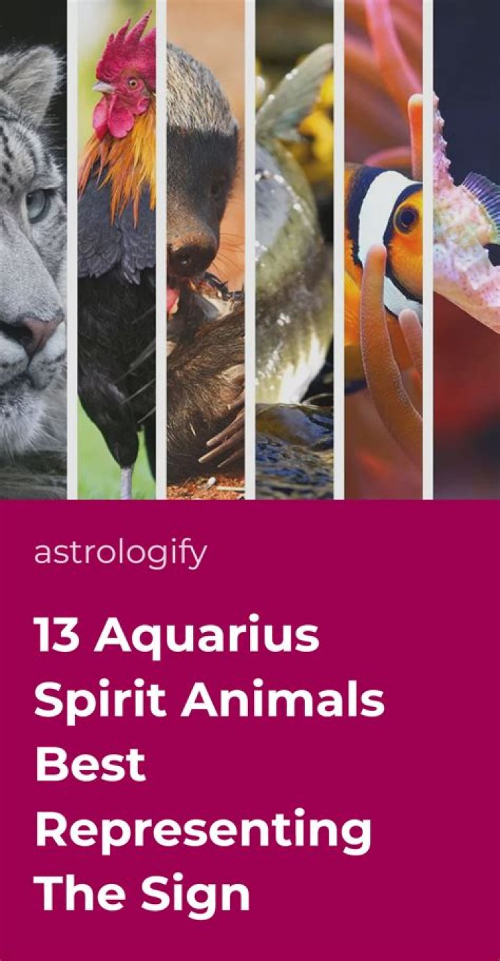 3 Aquarius Spirit Animals That Perfectly Represent This Sign