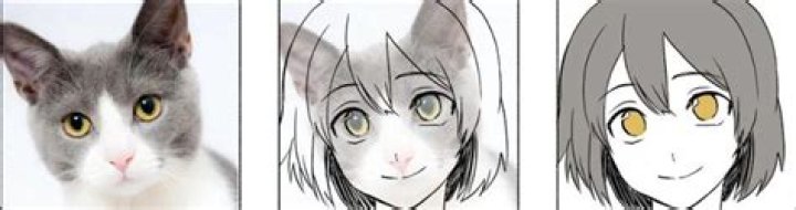A Woman's Journey To Resemble A Cat