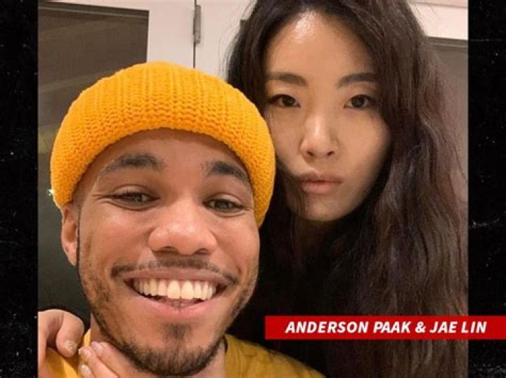 Anderson .paak's Biography And Facts' |