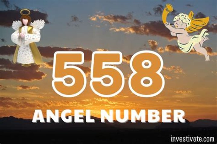 ANGEL NUMBER 558