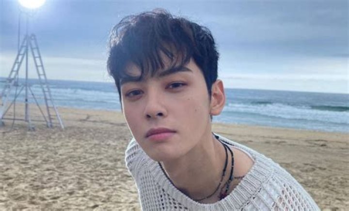 Cha Eun Woo's Relationship Status Revealed