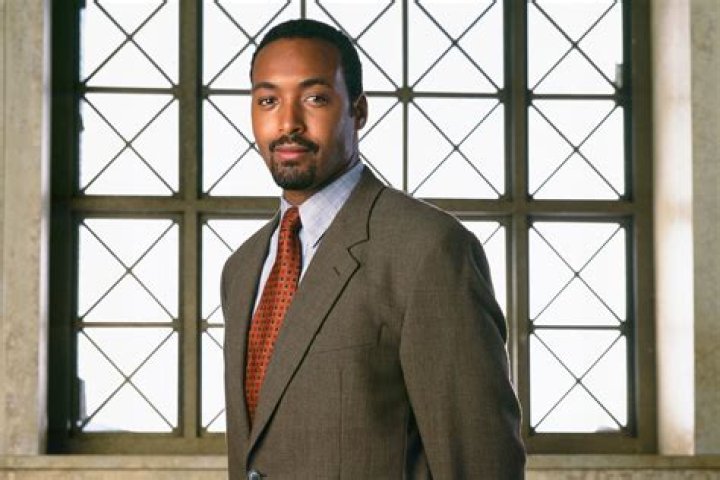 Discover The Intriguing Successor To Ed Green On "Law & Order"