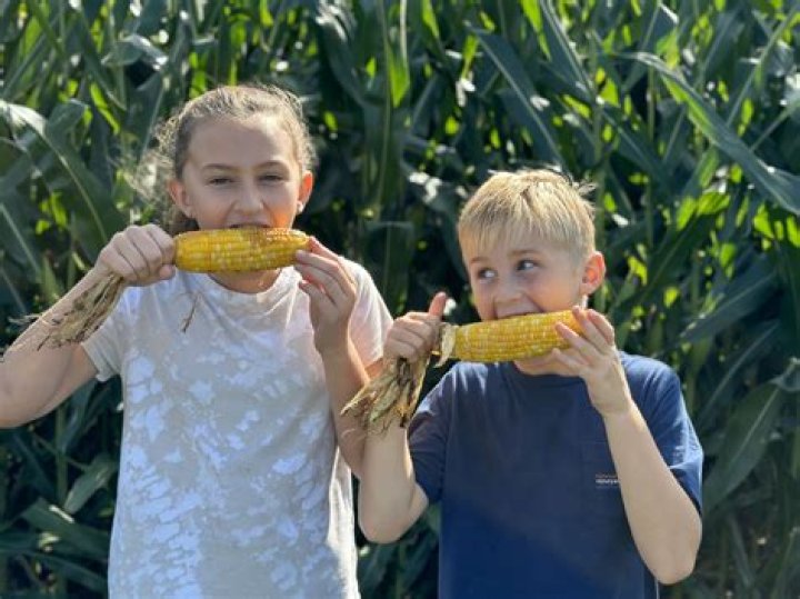 Discover The Legacy And Innovation Of F&W Schmitt's Family Farm