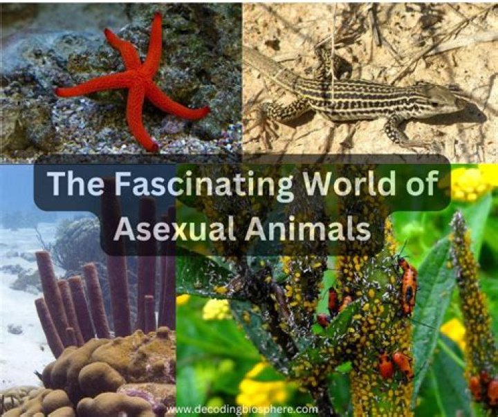 Exploring The Life Of A Fascinating Individual