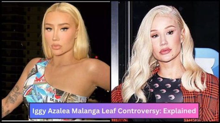 Iggy Azalea OnlyFans Leaks: Controversy And Impact