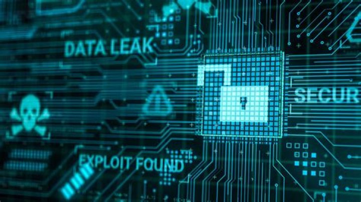 Massive Bonbibonkers Leak Exposes Sensitive Information