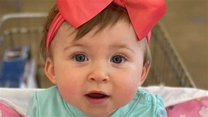 Missing baby Harlow: Stolen SUV may have rolled into thick brush, police say