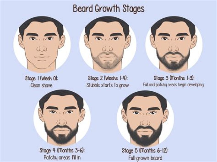 Paul Rudd's Facial Hair Transformation Proves The Power of a Good Beard