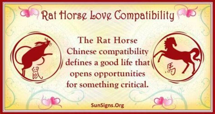 Rat And Horse Compatibility: A Great Pair |