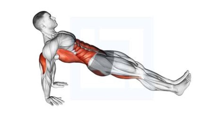Superhero Fit Workout Move of the Day: Plank Row