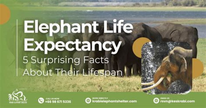 Surprising Facts And Implications Revealed