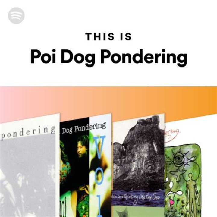 The Meaning Behind The Song: Complicated by Poi Dog Pondering