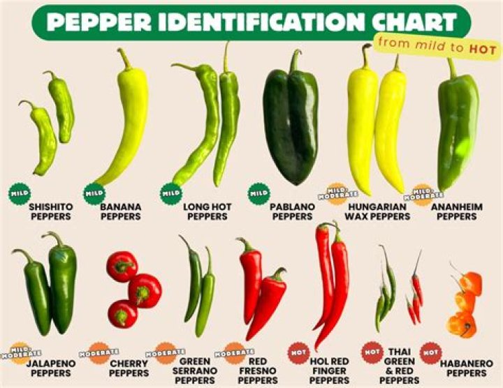 These Spicy Reaper Pickles Have 3 Different Types Of Spicy Pepper In Them |