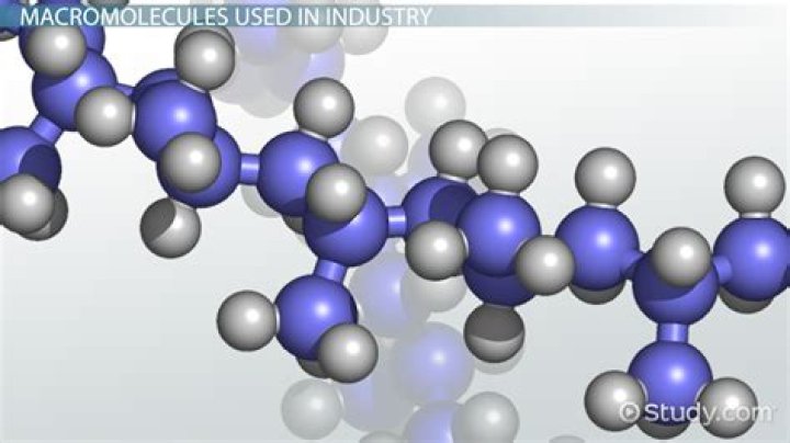Unravel The Secrets Of Building Macromolecules