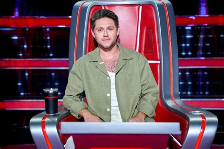 Who Is Niall on 'The Voice'? Meet the Judge and 1D Star |